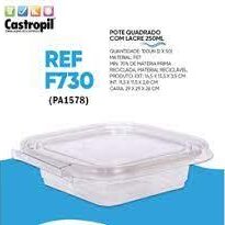 POTE PLAST.RETANG.F730 250ml.T.ARTIC.C/100(1) 00001010